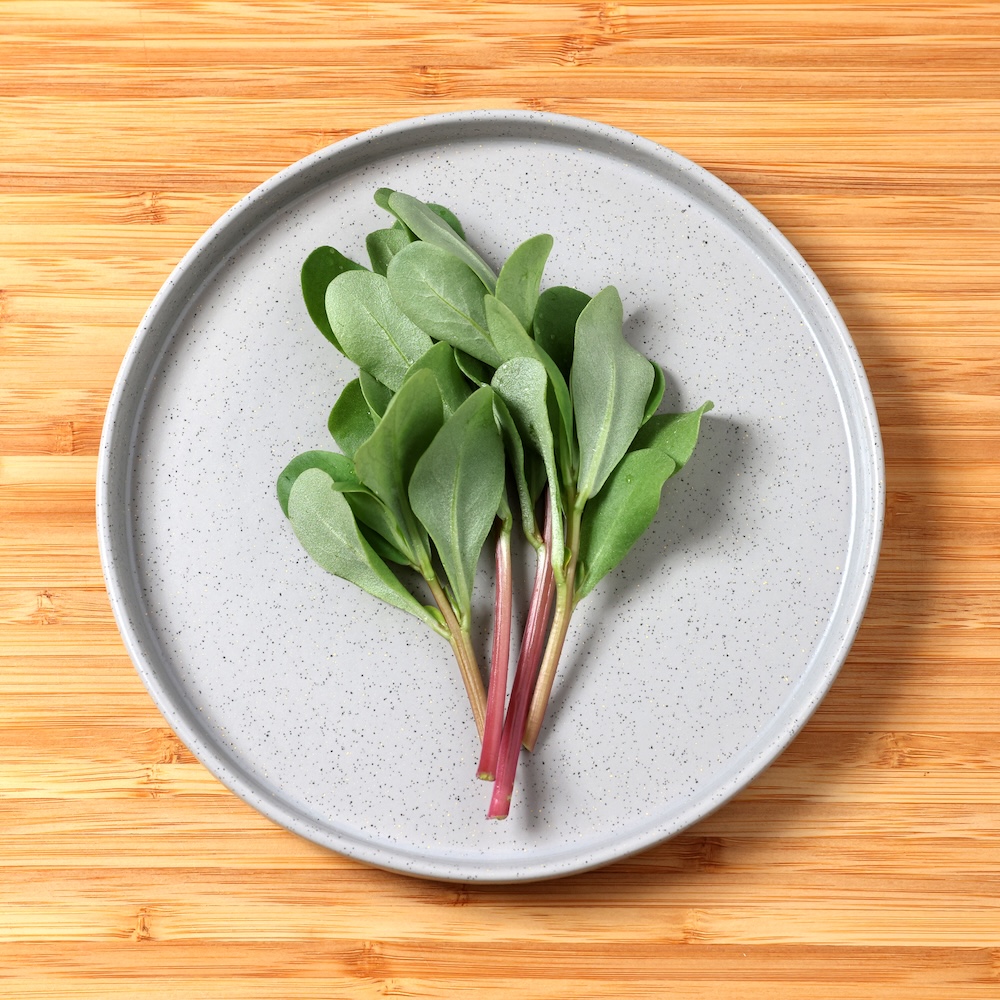 Purslane