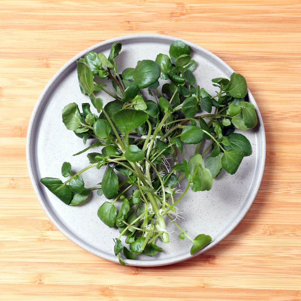 Watercress